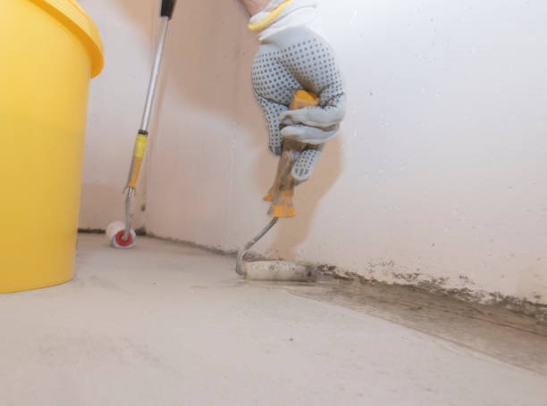 Best Fumigation Services  in Panhandle, TX